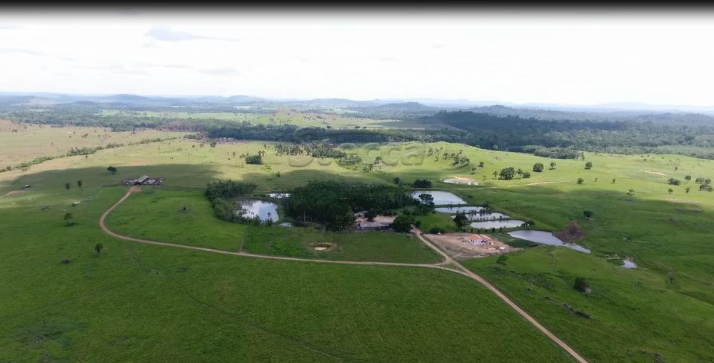 Comprar Rurais / Fazenda em Governador Jorge Teixeira - Foto 11 Comprar Rurais / Fazenda em Governador Jorge Teixeira - Foto 11