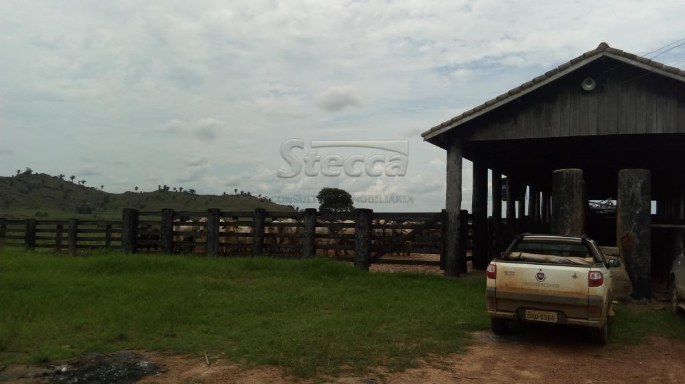 Comprar Rurais / Fazenda em Governador Jorge Teixeira - Foto 20 Comprar Rurais / Fazenda em Governador Jorge Teixeira - Foto 20