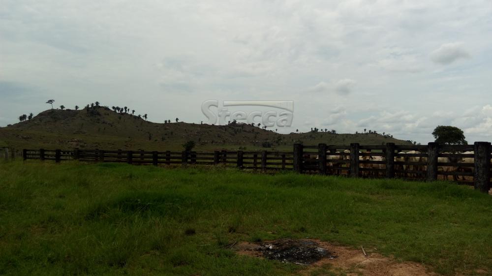 Comprar Rurais / Fazenda em Governador Jorge Teixeira - Foto 21 Comprar Rurais / Fazenda em Governador Jorge Teixeira - Foto 21
