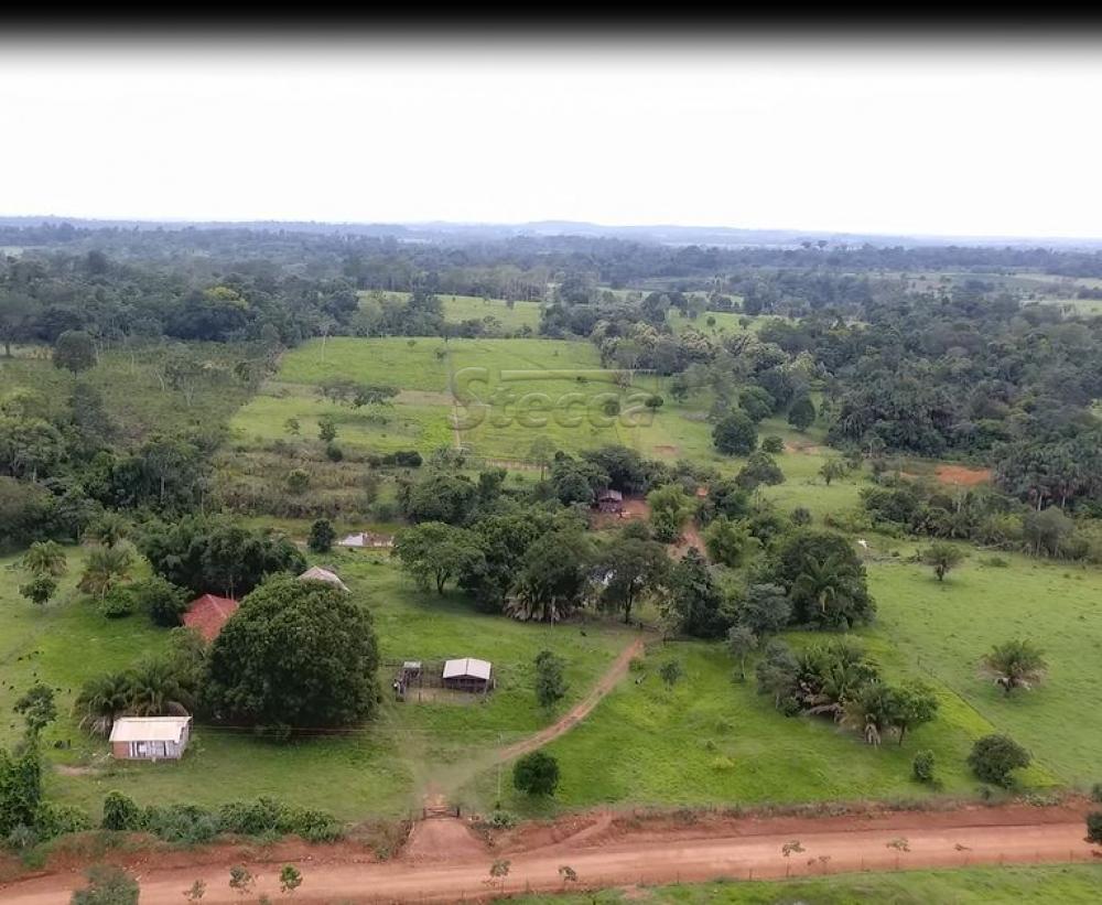 Comprar Rurais / Chácara em CACOAL apenas R$ 450.000,00 - Foto 1 Comprar Rurais / Chácara em CACOAL apenas R$ 450.000,00 - Foto 1
