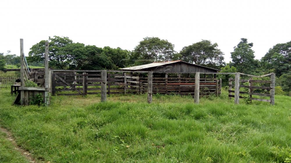 Comprar Rurais / Chácara em CACOAL apenas R$ 450.000,00 - Foto 2 Comprar Rurais / Chácara em CACOAL apenas R$ 450.000,00 - Foto 2
