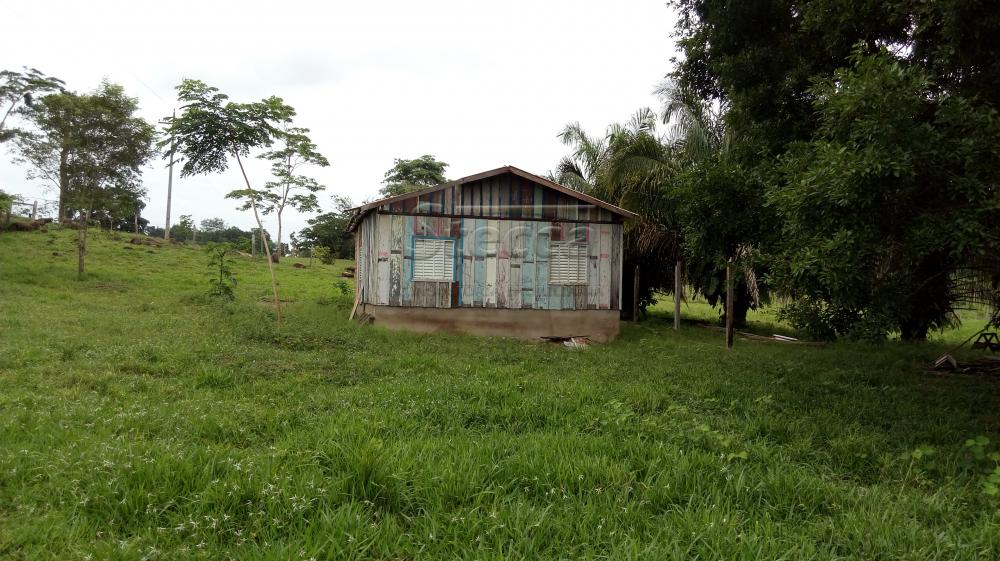 Comprar Rurais / Chácara em CACOAL apenas R$ 450.000,00 - Foto 3 Comprar Rurais / Chácara em CACOAL apenas R$ 450.000,00 - Foto 3