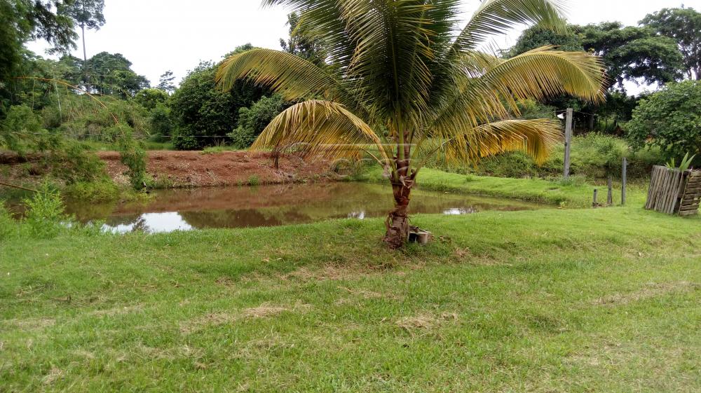 Comprar Rurais / Chácara em CACOAL apenas R$ 450.000,00 - Foto 5 Comprar Rurais / Chácara em CACOAL apenas R$ 450.000,00 - Foto 5