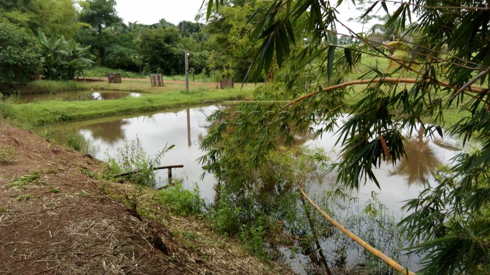 Comprar Rurais / Chácara em CACOAL apenas R$ 450.000,00 - Foto 10 Comprar Rurais / Chácara em CACOAL apenas R$ 450.000,00 - Foto 10