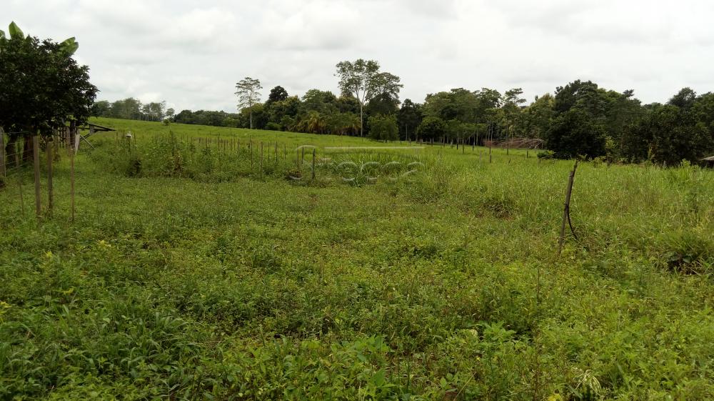 Comprar Rurais / Chácara em CACOAL apenas R$ 450.000,00 - Foto 7 Comprar Rurais / Chácara em CACOAL apenas R$ 450.000,00 - Foto 7