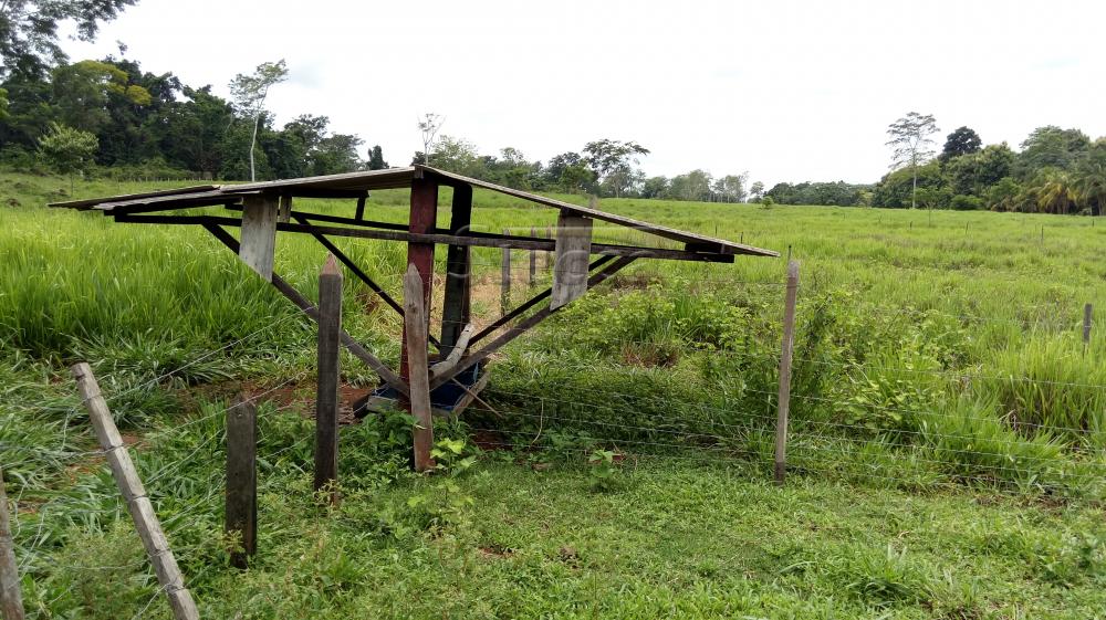 Comprar Rurais / Chácara em CACOAL apenas R$ 450.000,00 - Foto 11 Comprar Rurais / Chácara em CACOAL apenas R$ 450.000,00 - Foto 11