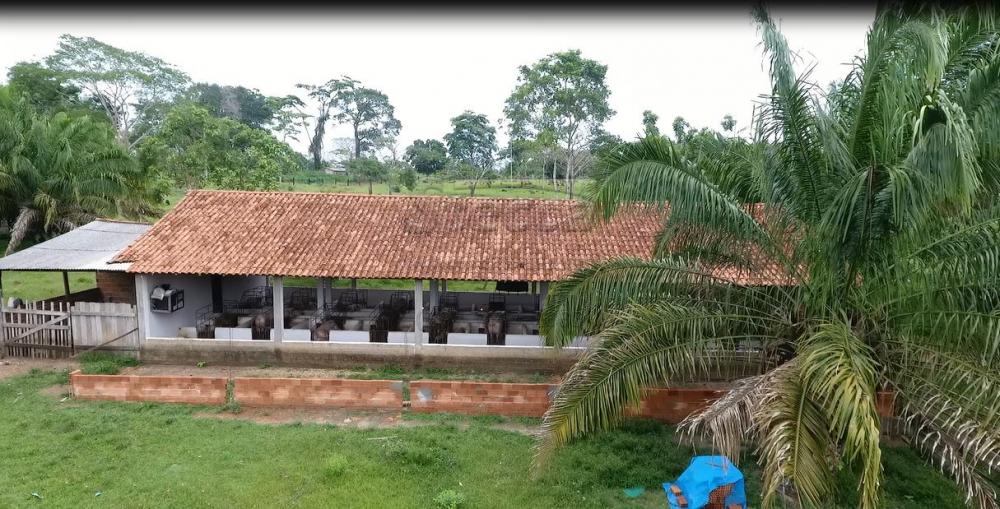 Comprar Rurais / Chácara em CACOAL apenas R$ 450.000,00 - Foto 17 Comprar Rurais / Chácara em CACOAL apenas R$ 450.000,00 - Foto 17