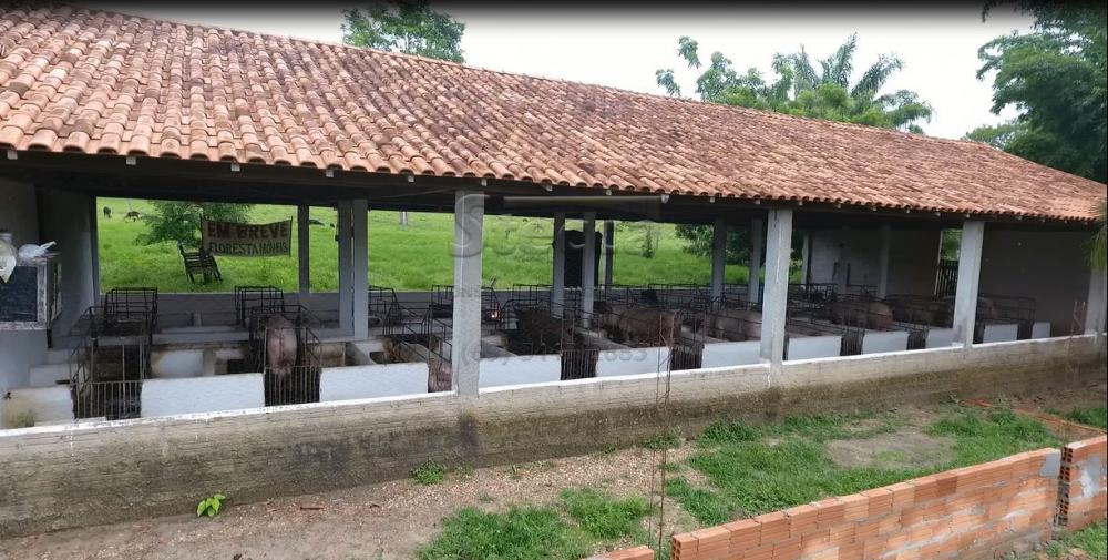 Comprar Rurais / Chácara em CACOAL apenas R$ 450.000,00 - Foto 31 Comprar Rurais / Chácara em CACOAL apenas R$ 450.000,00 - Foto 31