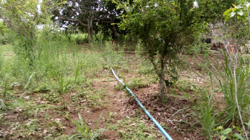 Comprar Rurais / Chácara em CACOAL apenas R$ 450.000,00 - Foto 18 Comprar Rurais / Chácara em CACOAL apenas R$ 450.000,00 - Foto 18
