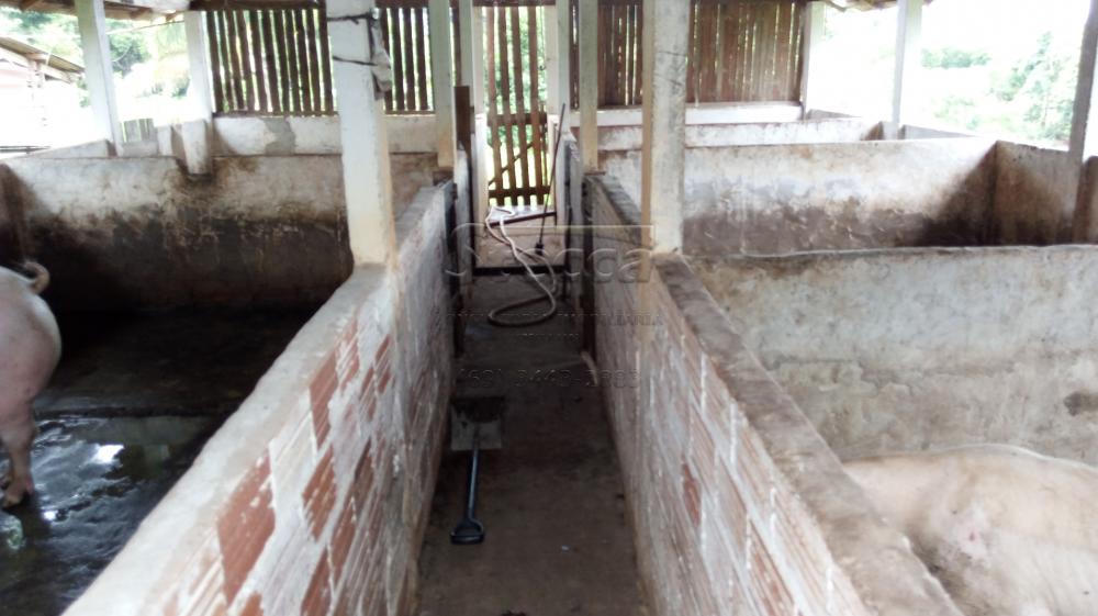 Comprar Rurais / Chácara em CACOAL apenas R$ 450.000,00 - Foto 19 Comprar Rurais / Chácara em CACOAL apenas R$ 450.000,00 - Foto 19