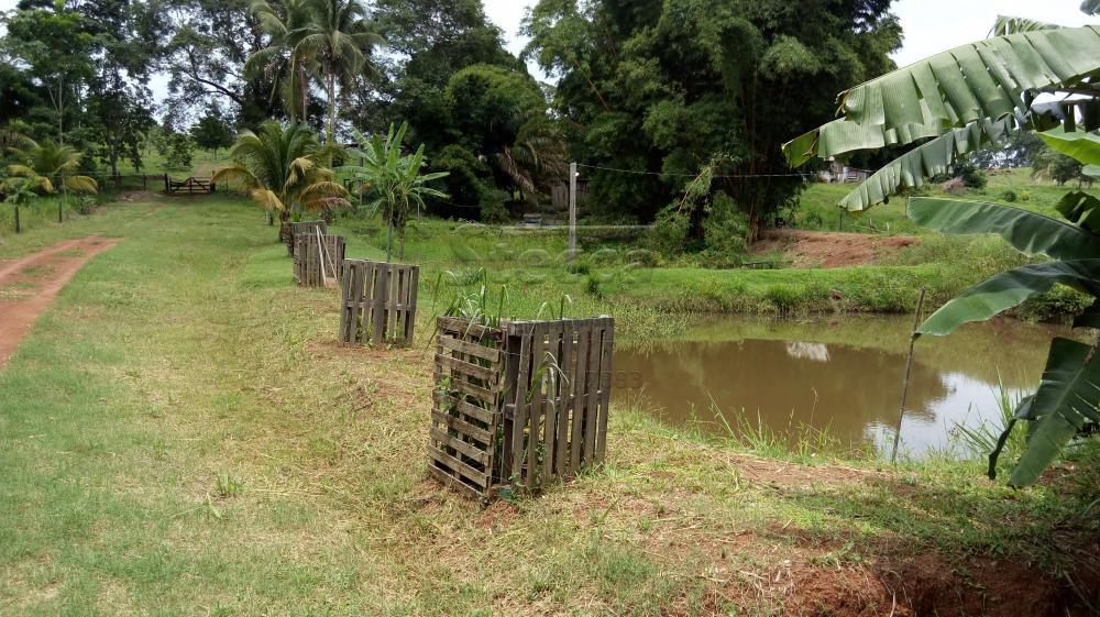 Comprar Rurais / Chácara em CACOAL apenas R$ 450.000,00 - Foto 30 Comprar Rurais / Chácara em CACOAL apenas R$ 450.000,00 - Foto 30