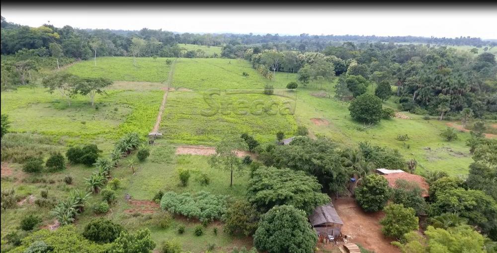 Comprar Rurais / Chácara em CACOAL apenas R$ 450.000,00 - Foto 25 Comprar Rurais / Chácara em CACOAL apenas R$ 450.000,00 - Foto 25