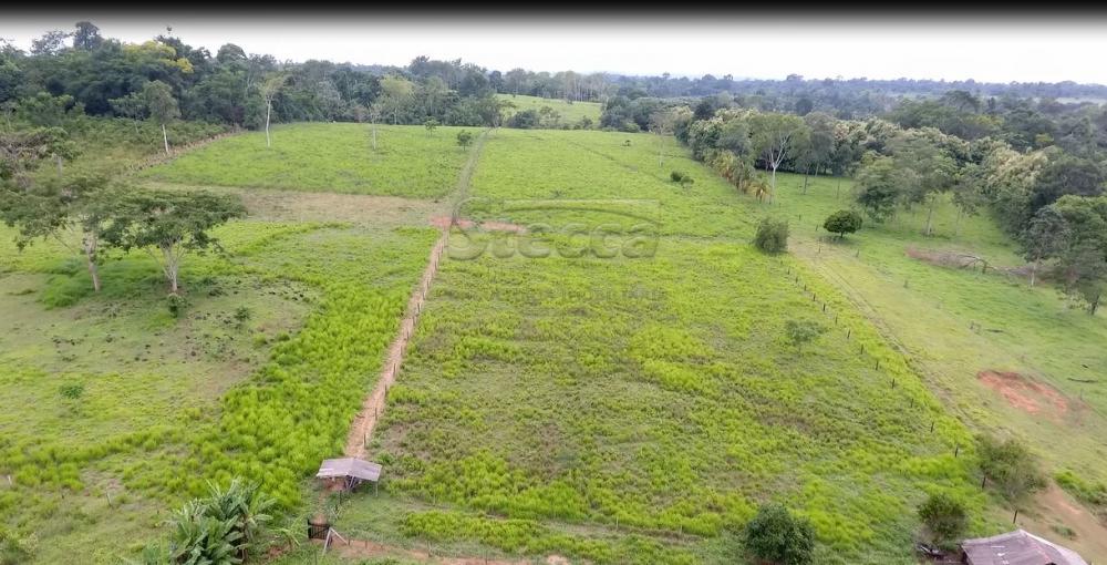 Comprar Rurais / Chácara em CACOAL apenas R$ 450.000,00 - Foto 27 Comprar Rurais / Chácara em CACOAL apenas R$ 450.000,00 - Foto 27