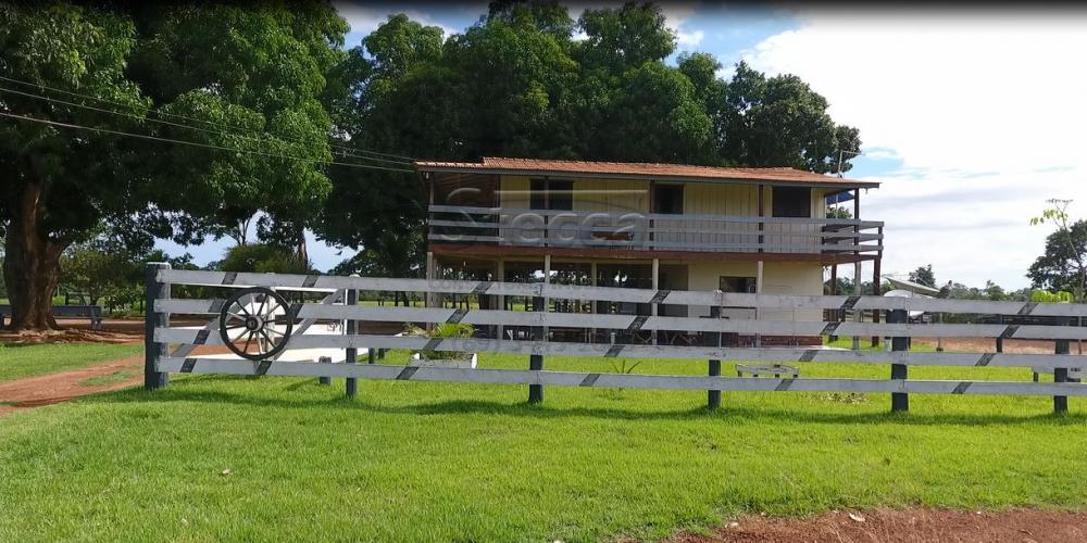 Comprar Rurais / Sítio em Rolim de Moura apenas R$ 1.860.000,00 - Foto 1 Comprar Rurais / Sítio em Rolim de Moura apenas R$ 1.860.000,00 - Foto 1