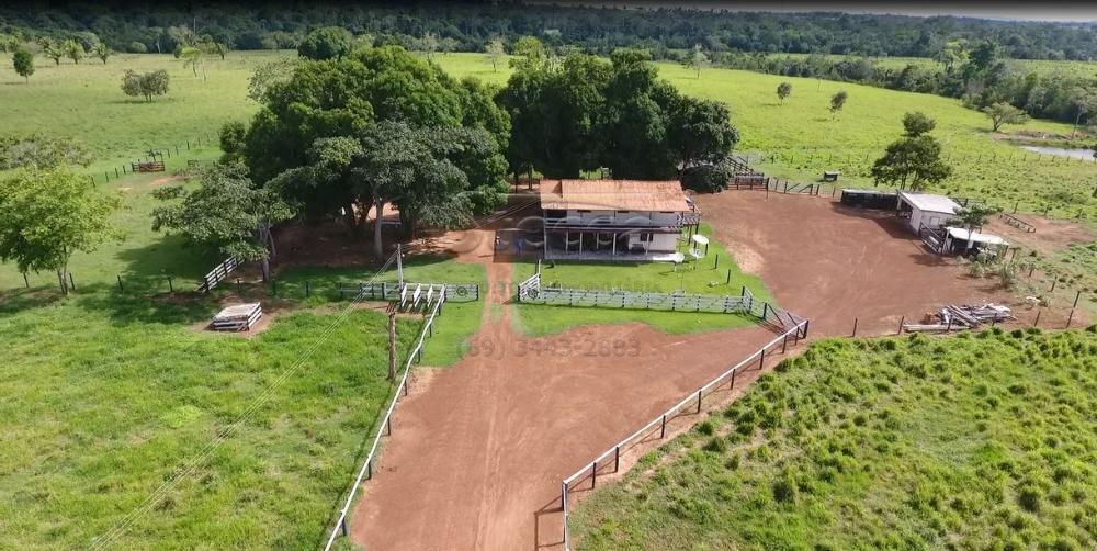 Comprar Rurais / Sítio em Rolim de Moura apenas R$ 1.860.000,00 - Foto 3 Comprar Rurais / Sítio em Rolim de Moura apenas R$ 1.860.000,00 - Foto 3