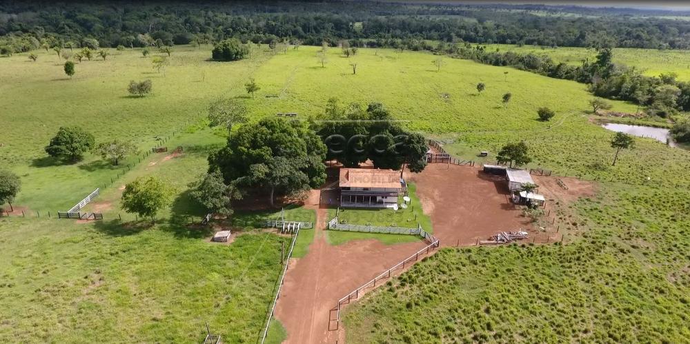 Comprar Rurais / Sítio em Rolim de Moura apenas R$ 1.860.000,00 - Foto 5 Comprar Rurais / Sítio em Rolim de Moura apenas R$ 1.860.000,00 - Foto 5