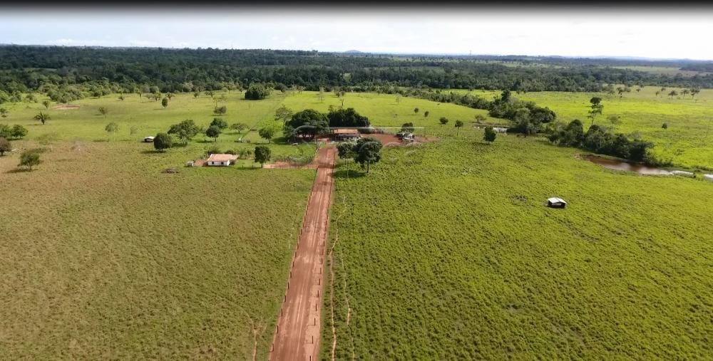 Comprar Rurais / Sítio em Rolim de Moura apenas R$ 1.860.000,00 - Foto 9 Comprar Rurais / Sítio em Rolim de Moura apenas R$ 1.860.000,00 - Foto 9