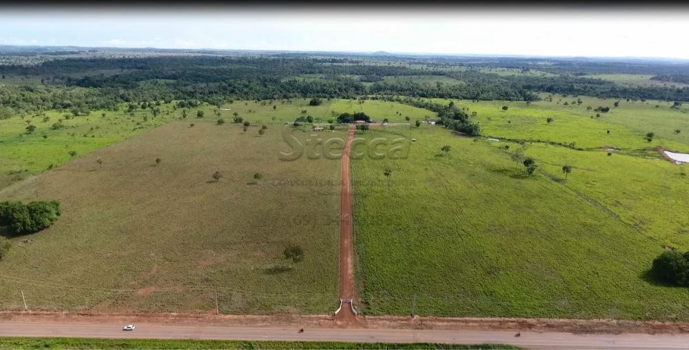 Comprar Rurais / Sítio em Rolim de Moura apenas R$ 1.860.000,00 - Foto 10 Comprar Rurais / Sítio em Rolim de Moura apenas R$ 1.860.000,00 - Foto 10