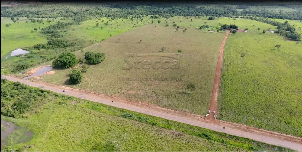 Comprar Rurais / Sítio em Rolim de Moura apenas R$ 1.860.000,00 - Foto 11 Comprar Rurais / Sítio em Rolim de Moura apenas R$ 1.860.000,00 - Foto 11