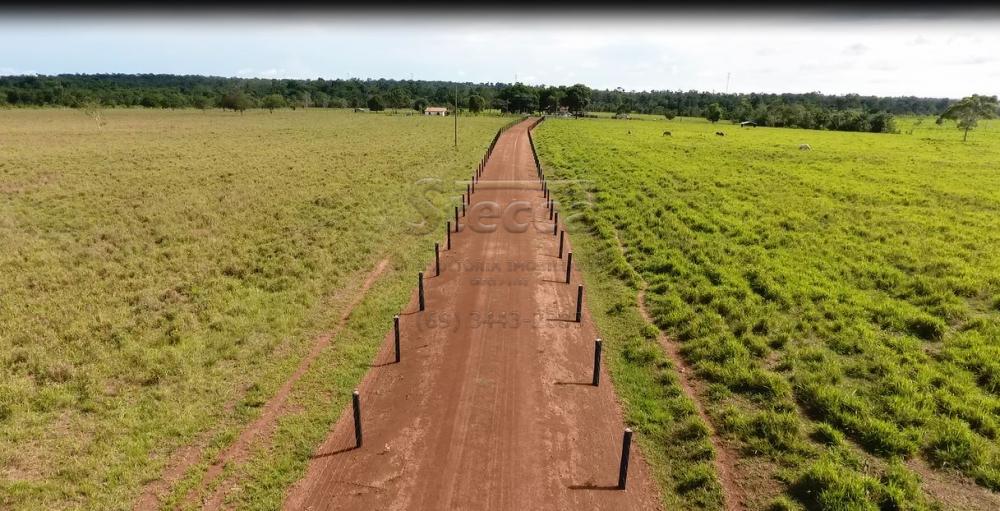 Comprar Rurais / Sítio em Rolim de Moura apenas R$ 1.860.000,00 - Foto 12 Comprar Rurais / Sítio em Rolim de Moura apenas R$ 1.860.000,00 - Foto 12