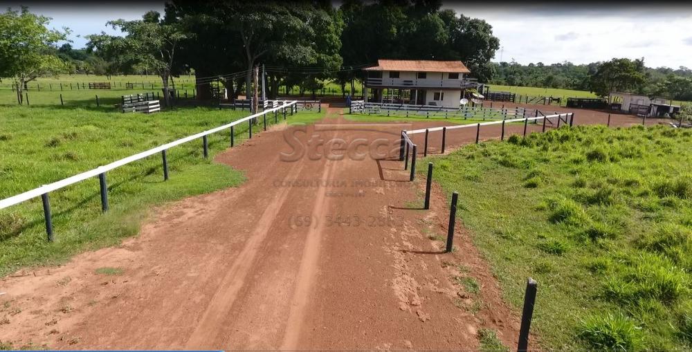 Comprar Rurais / Sítio em Rolim de Moura apenas R$ 1.860.000,00 - Foto 14 Comprar Rurais / Sítio em Rolim de Moura apenas R$ 1.860.000,00 - Foto 14