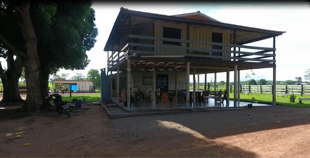 Comprar Rurais / Sítio em Rolim de Moura apenas R$ 1.860.000,00 - Foto 15 Comprar Rurais / Sítio em Rolim de Moura apenas R$ 1.860.000,00 - Foto 15