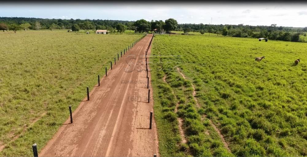 Comprar Rurais / Sítio em Rolim de Moura apenas R$ 1.860.000,00 - Foto 13 Comprar Rurais / Sítio em Rolim de Moura apenas R$ 1.860.000,00 - Foto 13