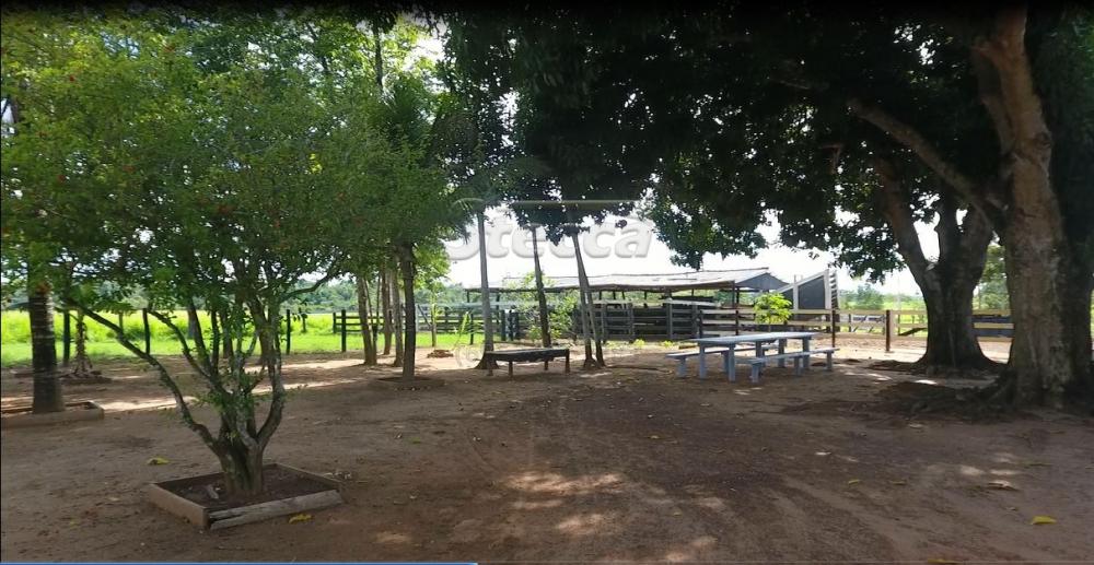 Comprar Rurais / Sítio em Rolim de Moura apenas R$ 1.860.000,00 - Foto 16 Comprar Rurais / Sítio em Rolim de Moura apenas R$ 1.860.000,00 - Foto 16