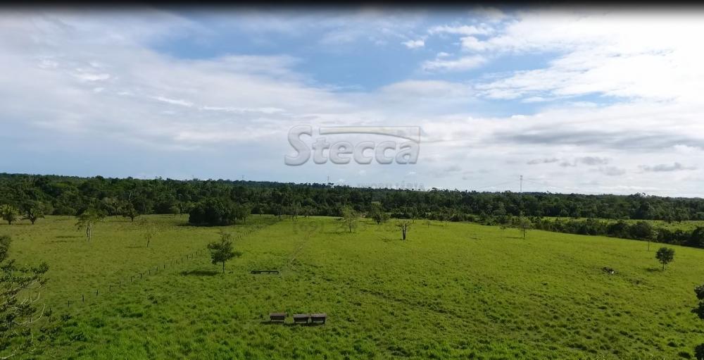 Comprar Rurais / Sítio em Rolim de Moura apenas R$ 1.860.000,00 - Foto 17 Comprar Rurais / Sítio em Rolim de Moura apenas R$ 1.860.000,00 - Foto 17