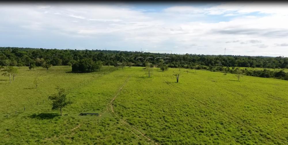 Comprar Rurais / Sítio em Rolim de Moura apenas R$ 1.860.000,00 - Foto 18 Comprar Rurais / Sítio em Rolim de Moura apenas R$ 1.860.000,00 - Foto 18