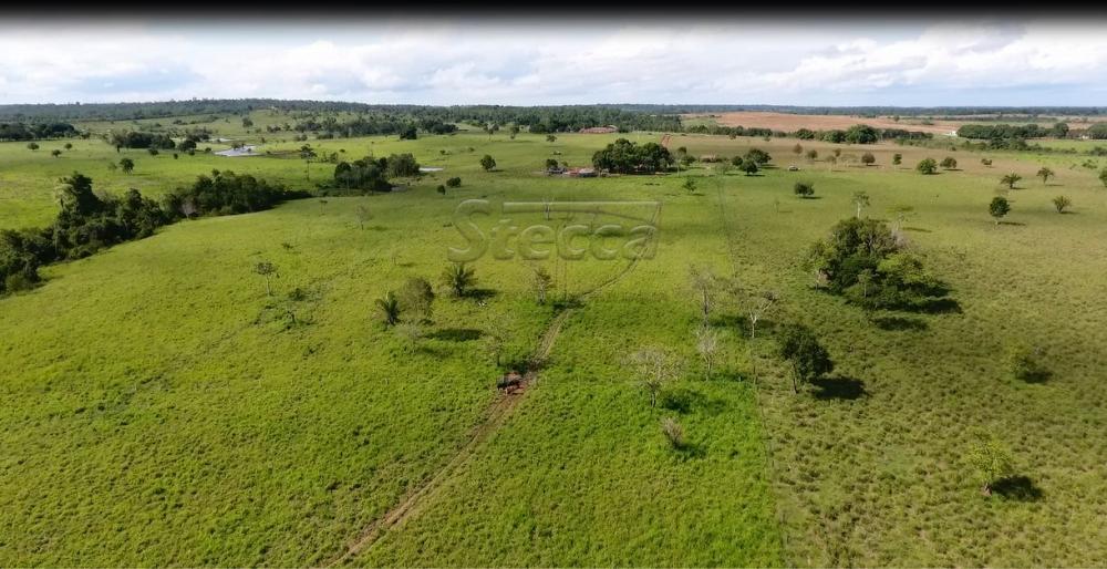Comprar Rurais / Sítio em Rolim de Moura apenas R$ 1.860.000,00 - Foto 20 Comprar Rurais / Sítio em Rolim de Moura apenas R$ 1.860.000,00 - Foto 20