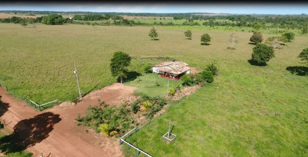 Comprar Rurais / Sítio em Rolim de Moura apenas R$ 1.860.000,00 - Foto 4 Comprar Rurais / Sítio em Rolim de Moura apenas R$ 1.860.000,00 - Foto 4