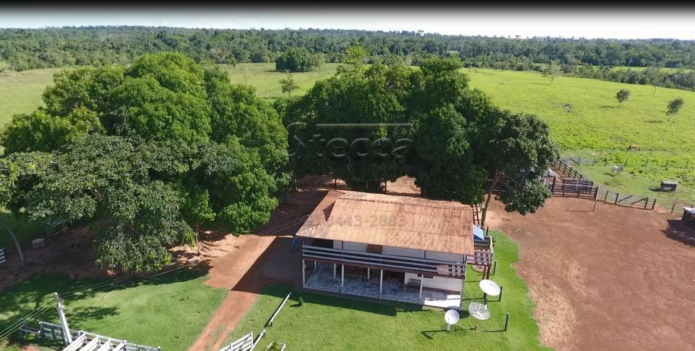 Comprar Rurais / Sítio em Rolim de Moura apenas R$ 1.860.000,00 - Foto 6 Comprar Rurais / Sítio em Rolim de Moura apenas R$ 1.860.000,00 - Foto 6