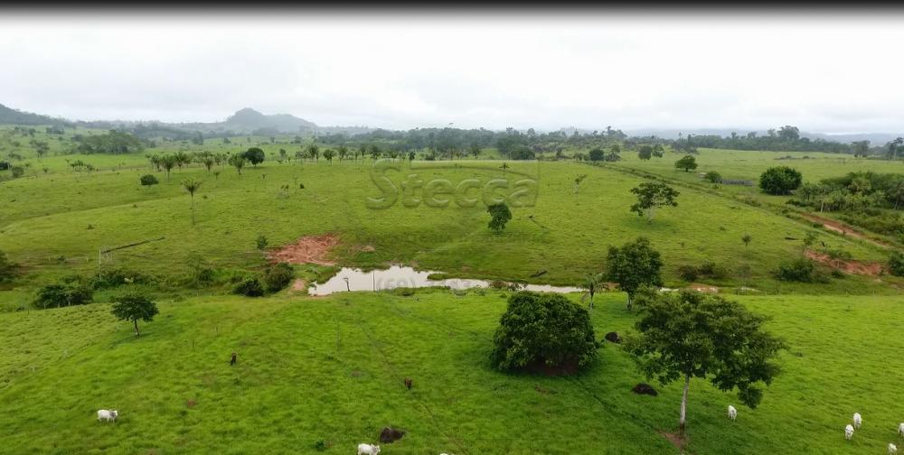Comprar Rurais / Sítio em CACOAL apenas R$ 1.147.000,00 - Foto 1 Comprar Rurais / Sítio em CACOAL apenas R$ 1.147.000,00 - Foto 1
