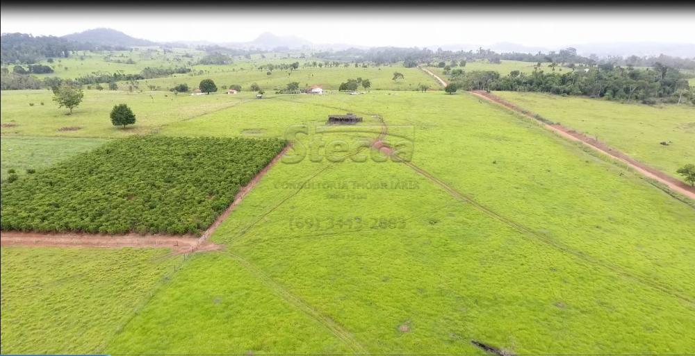 Comprar Rurais / Sítio em CACOAL apenas R$ 1.147.000,00 - Foto 5 Comprar Rurais / Sítio em CACOAL apenas R$ 1.147.000,00 - Foto 5