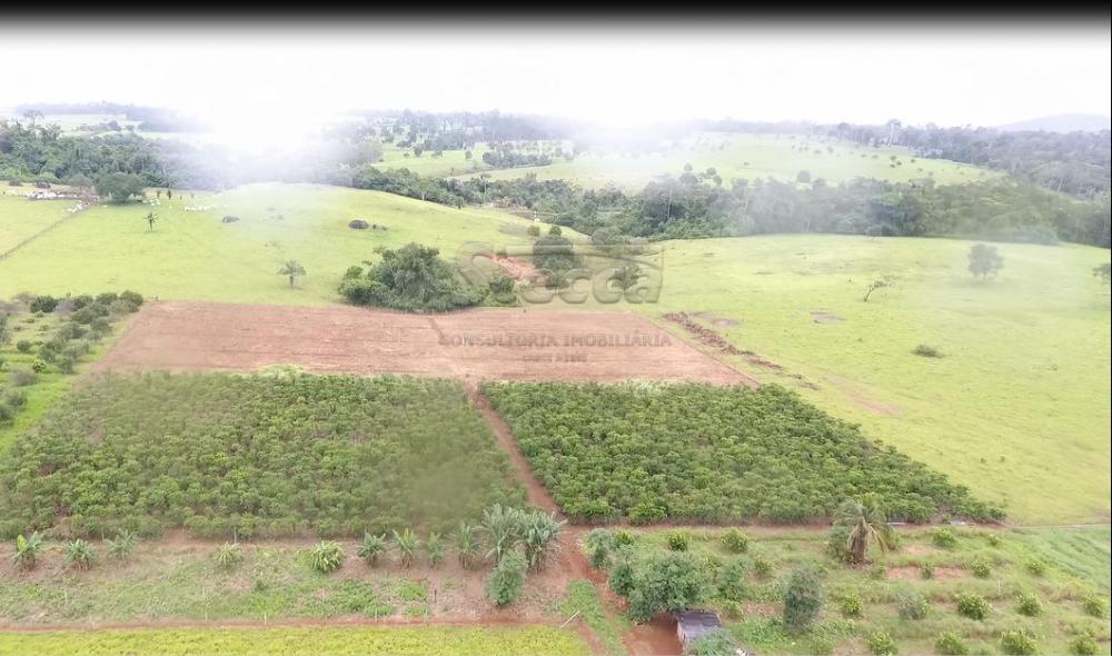Comprar Rurais / Sítio em CACOAL apenas R$ 1.147.000,00 - Foto 11 Comprar Rurais / Sítio em CACOAL apenas R$ 1.147.000,00 - Foto 11
