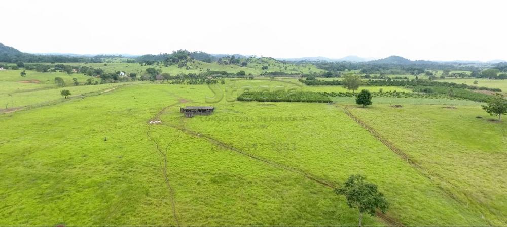 Comprar Rurais / Sítio em CACOAL apenas R$ 1.147.000,00 - Foto 13 Comprar Rurais / Sítio em CACOAL apenas R$ 1.147.000,00 - Foto 13