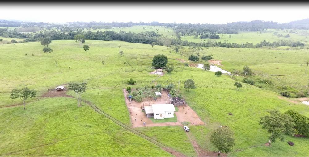 Comprar Rurais / Sítio em CACOAL apenas R$ 1.147.000,00 - Foto 17 Comprar Rurais / Sítio em CACOAL apenas R$ 1.147.000,00 - Foto 17