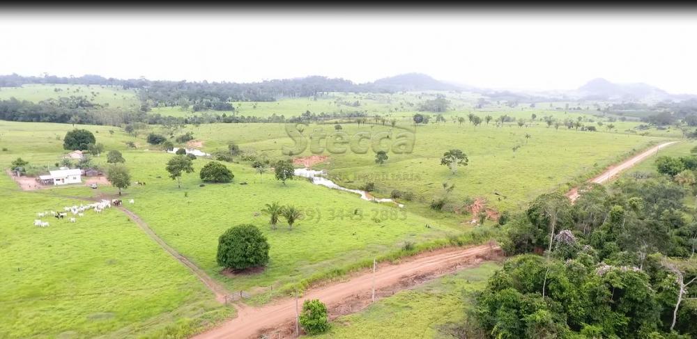 Comprar Rurais / Sítio em CACOAL apenas R$ 1.147.000,00 - Foto 19 Comprar Rurais / Sítio em CACOAL apenas R$ 1.147.000,00 - Foto 19