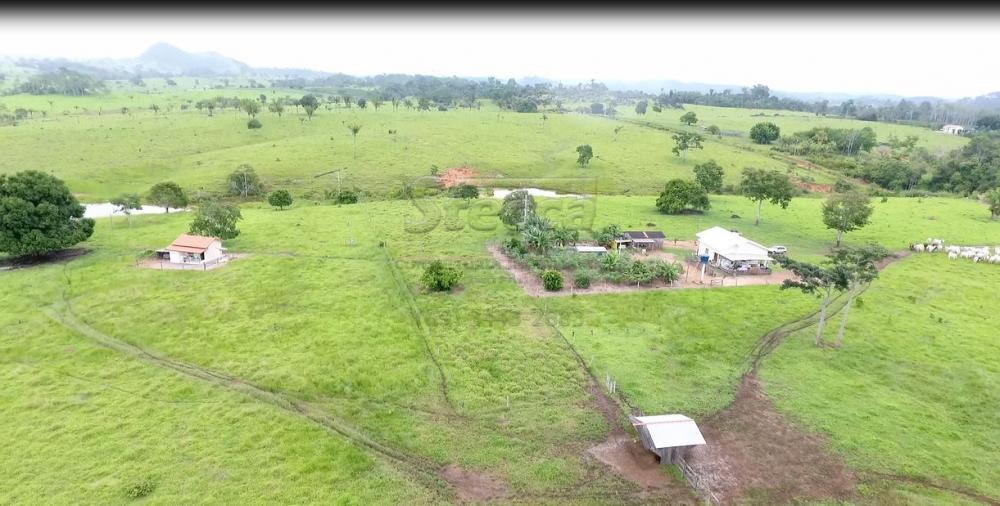Comprar Rurais / Sítio em CACOAL apenas R$ 1.147.000,00 - Foto 21 Comprar Rurais / Sítio em CACOAL apenas R$ 1.147.000,00 - Foto 21