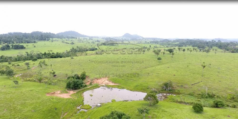 Comprar Rurais / Sítio em CACOAL apenas R$ 1.147.000,00 - Foto 22 Comprar Rurais / Sítio em CACOAL apenas R$ 1.147.000,00 - Foto 22