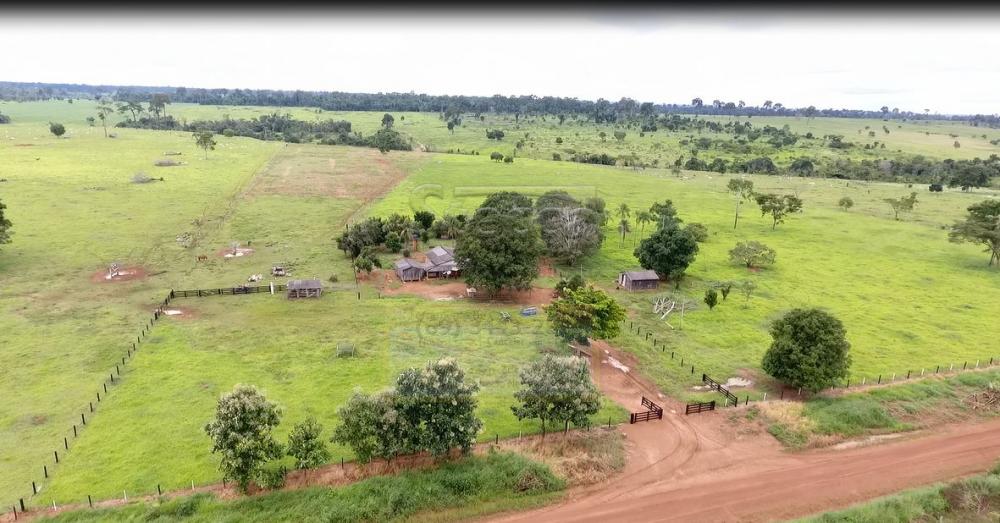 Comprar Rurais / Fazenda em Novo Horizonte do Oeste apenas R$ 10.000.000,00 - Foto 2 Comprar Rurais / Fazenda em Novo Horizonte do Oeste apenas R$ 10.000.000,00 - Foto 2
