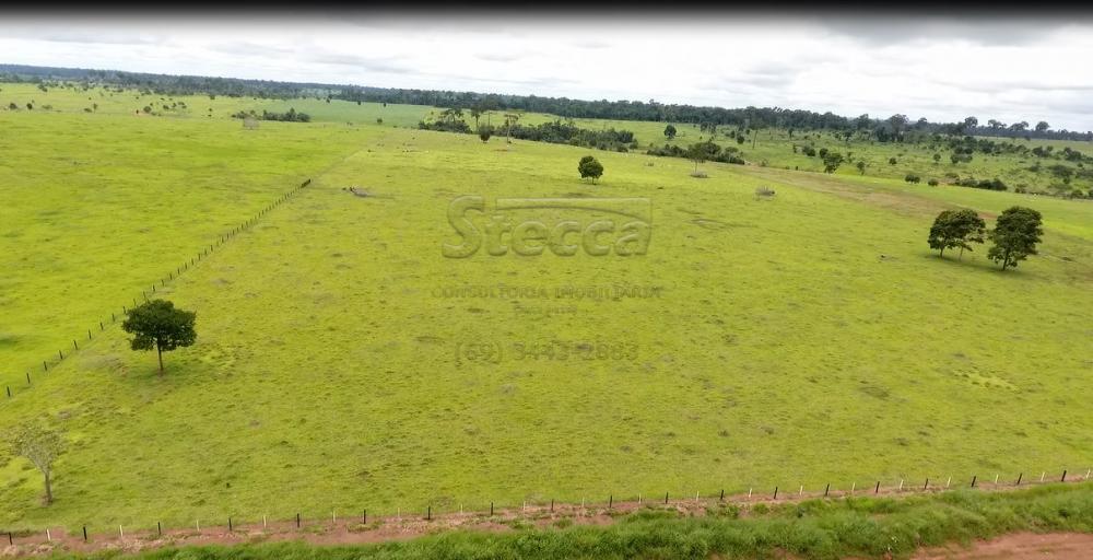 Comprar Rurais / Fazenda em Novo Horizonte do Oeste apenas R$ 10.000.000,00 - Foto 3 Comprar Rurais / Fazenda em Novo Horizonte do Oeste apenas R$ 10.000.000,00 - Foto 3