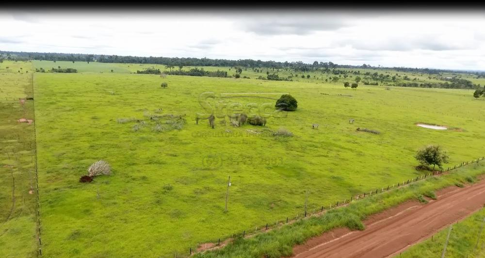 Comprar Rurais / Fazenda em Novo Horizonte do Oeste apenas R$ 10.000.000,00 - Foto 4 Comprar Rurais / Fazenda em Novo Horizonte do Oeste apenas R$ 10.000.000,00 - Foto 4