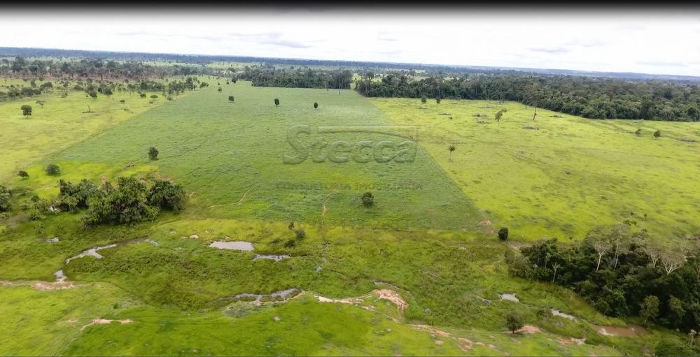 Comprar Rurais / Fazenda em Novo Horizonte do Oeste apenas R$ 10.000.000,00 - Foto 6 Comprar Rurais / Fazenda em Novo Horizonte do Oeste apenas R$ 10.000.000,00 - Foto 6