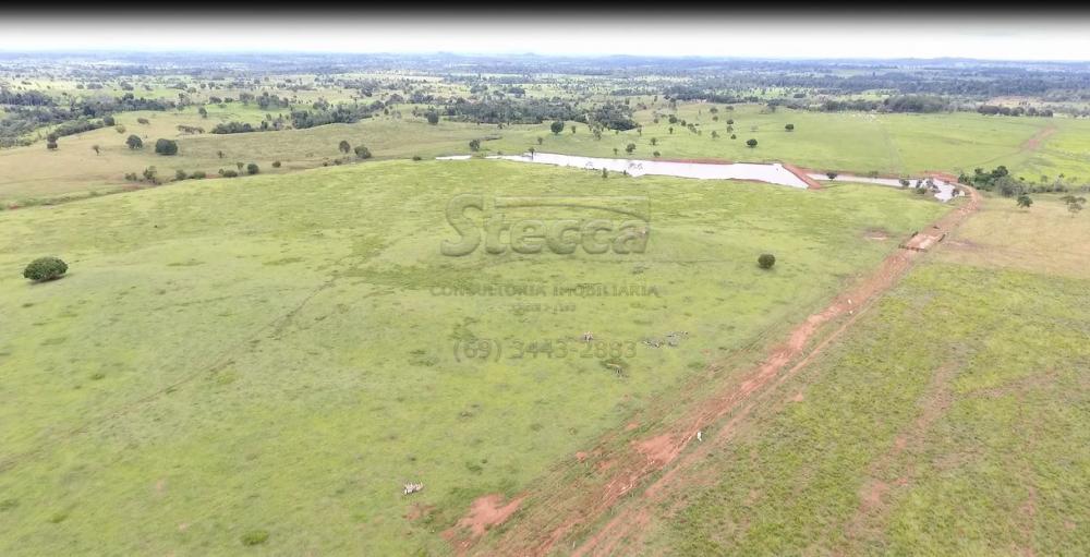 Comprar Rurais / Fazenda em Novo Horizonte do Oeste apenas R$ 10.000.000,00 - Foto 8 Comprar Rurais / Fazenda em Novo Horizonte do Oeste apenas R$ 10.000.000,00 - Foto 8