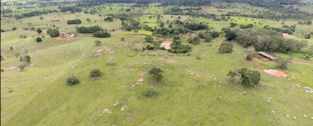 Comprar Rurais / Fazenda em Novo Horizonte do Oeste apenas R$ 10.000.000,00 - Foto 11 Comprar Rurais / Fazenda em Novo Horizonte do Oeste apenas R$ 10.000.000,00 - Foto 11