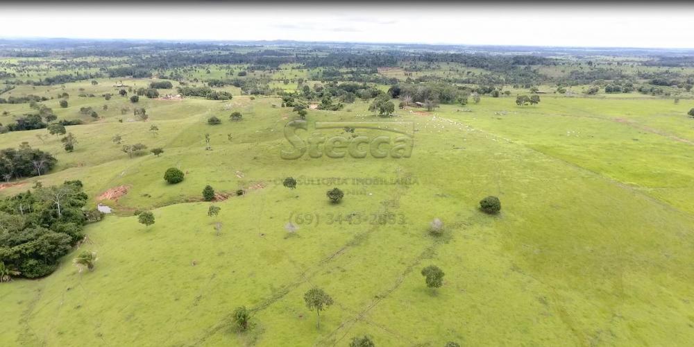 Comprar Rurais / Fazenda em Novo Horizonte do Oeste apenas R$ 10.000.000,00 - Foto 10 Comprar Rurais / Fazenda em Novo Horizonte do Oeste apenas R$ 10.000.000,00 - Foto 10