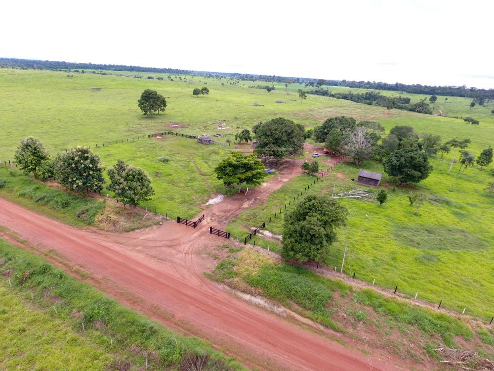 Comprar Rurais / Fazenda em Novo Horizonte do Oeste apenas R$ 10.000.000,00 - Foto 13 Comprar Rurais / Fazenda em Novo Horizonte do Oeste apenas R$ 10.000.000,00 - Foto 13