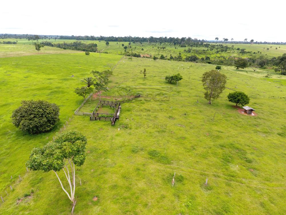 Comprar Rurais / Fazenda em Novo Horizonte do Oeste apenas R$ 10.000.000,00 - Foto 14 Comprar Rurais / Fazenda em Novo Horizonte do Oeste apenas R$ 10.000.000,00 - Foto 14
